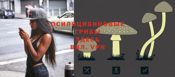 мяу мяу мука Нязепетровск