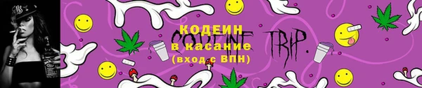 метадон Няндома