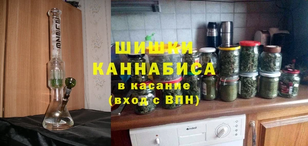 метадон Няндома