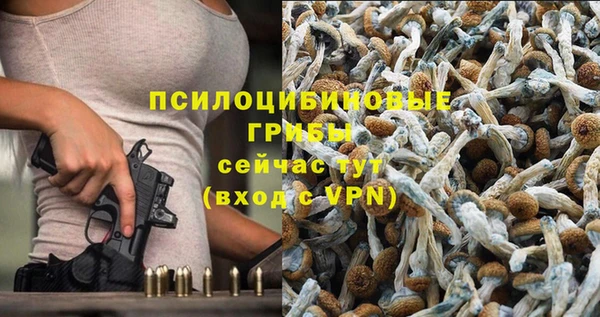 метадон Нягань