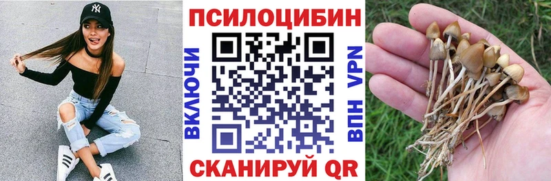 Галлюциногенные грибы прущие грибы  MEGA зеркало  нарко площадка официальный сайт  Юрюзань 